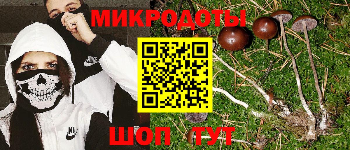 Псилоцибиновые грибы Magic Shrooms Звенигород