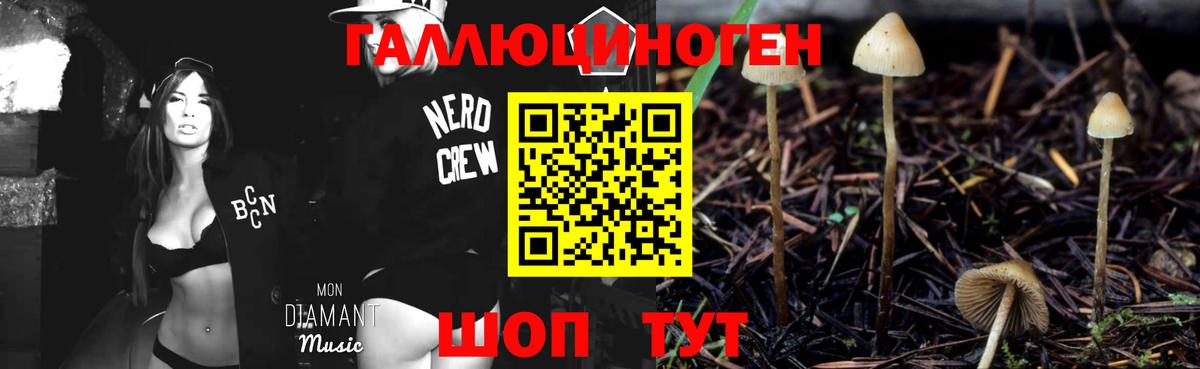 Псилоцибиновые грибы Cubensis  Вход с VPN  Звенигород 